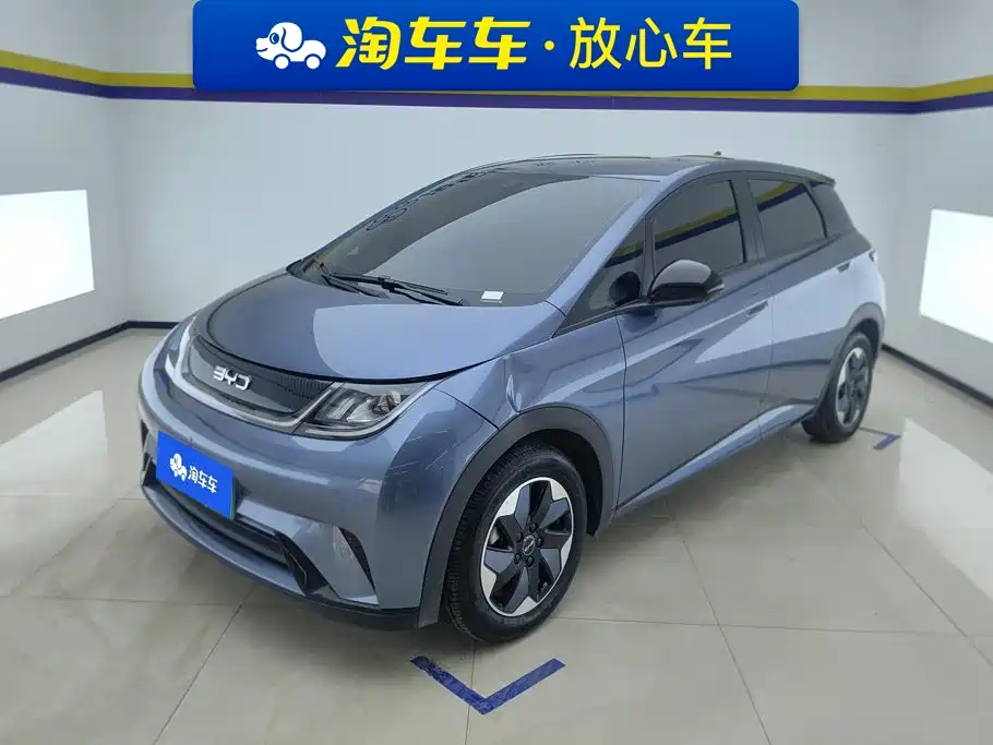 2026 BYD Dolphin