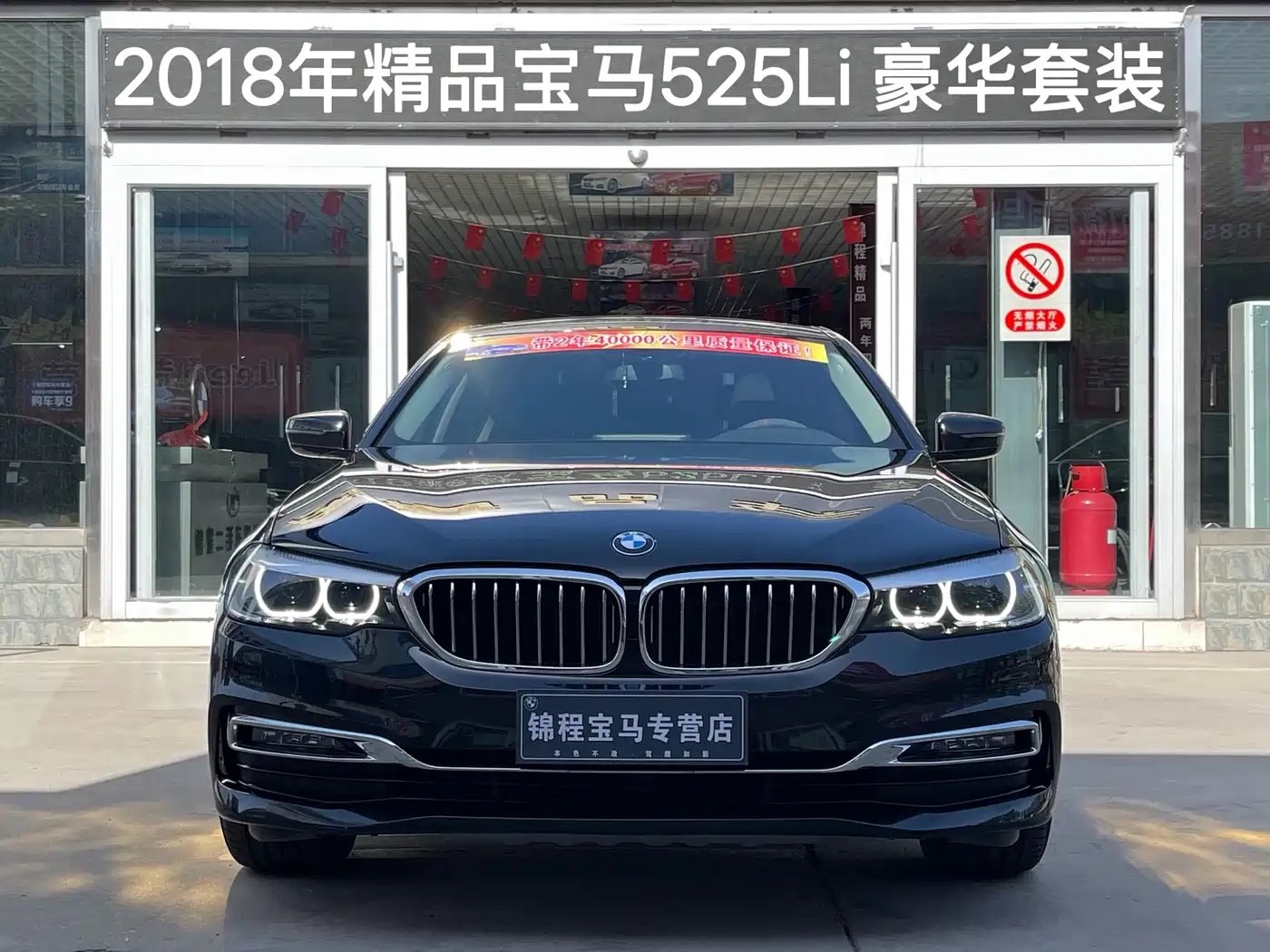BMW 5 Series 2018 525Li Luxury Package фото 3