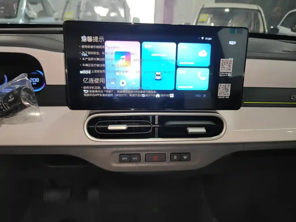 Geely Galaxy Panda 2026 2025 Panda mini 210km Vitality Bear