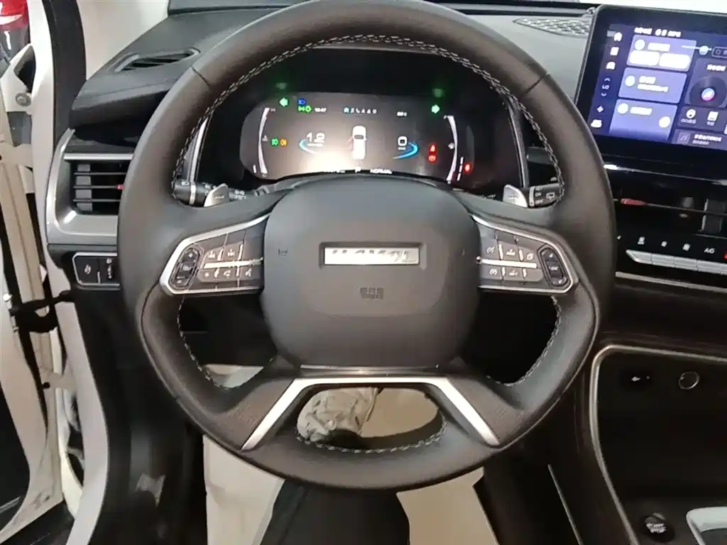 Haval H6 2021 National Trend Edition 1.5GDIT Automatic Champion Edition фото 11