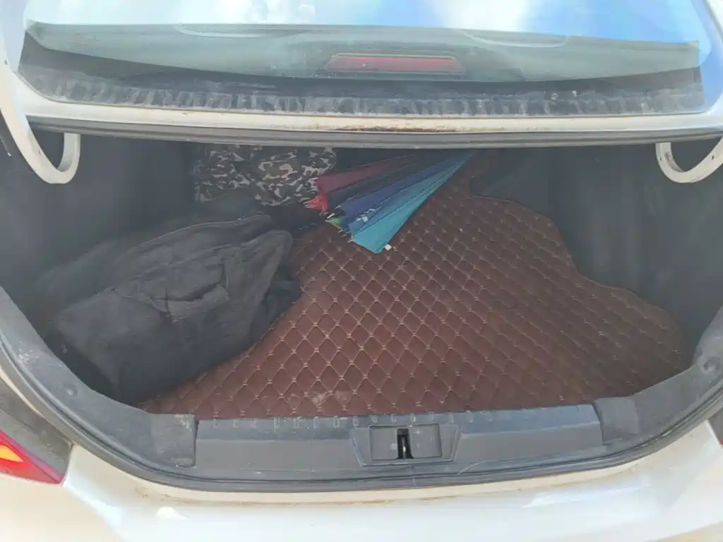 Photo 19 - Geely Emgrand