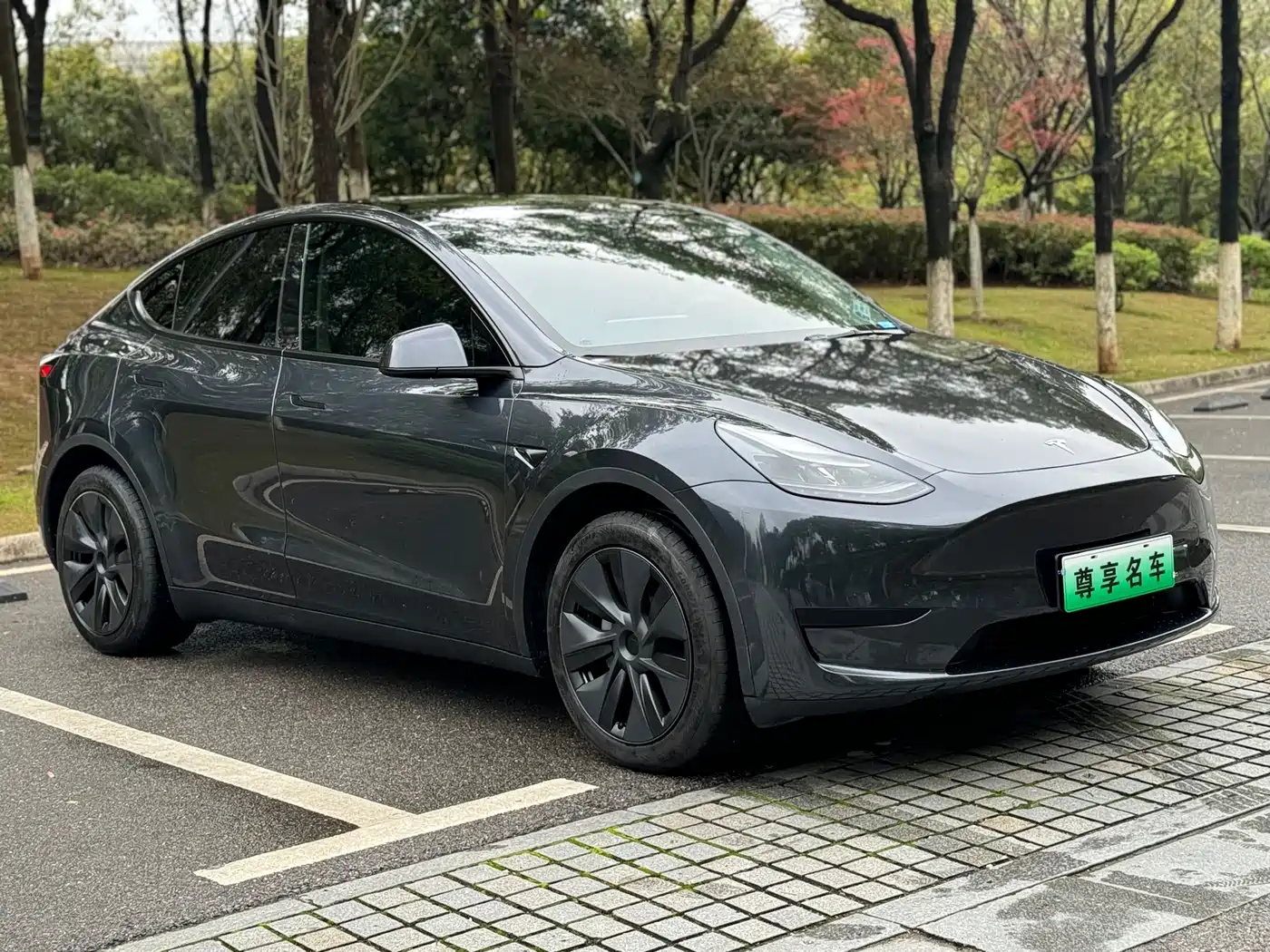 TESLA MODEL Y