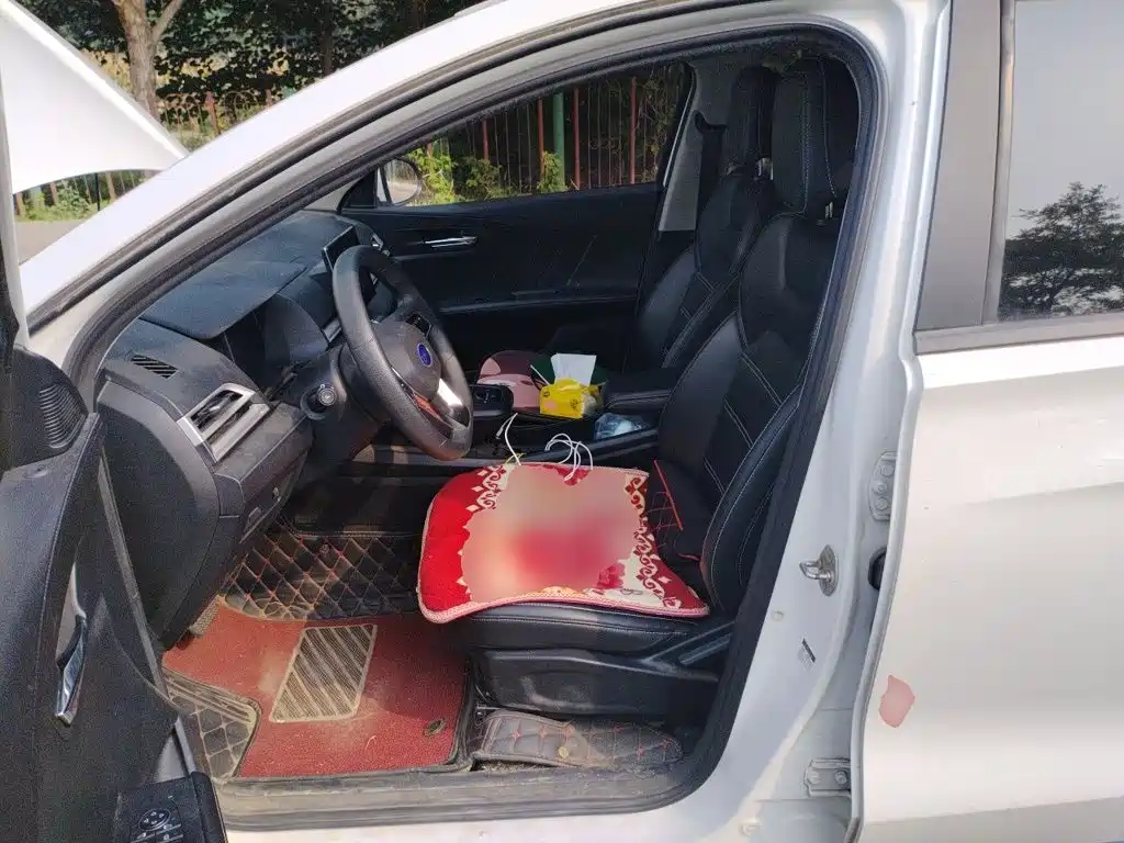 BYD e2 2020 2019 Long Range Yao·Luxury Model