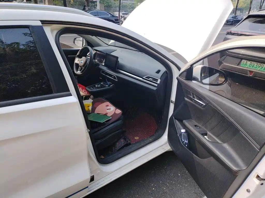BYD e2 2020 2019 Long Range Yao·Luxury Model