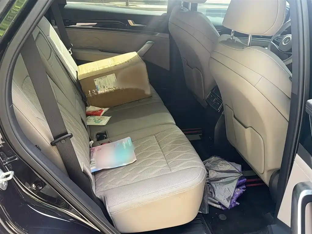 BYD Tang New Energy 2025 Smart Driving Edition DM-i 115KM Honor фото 12