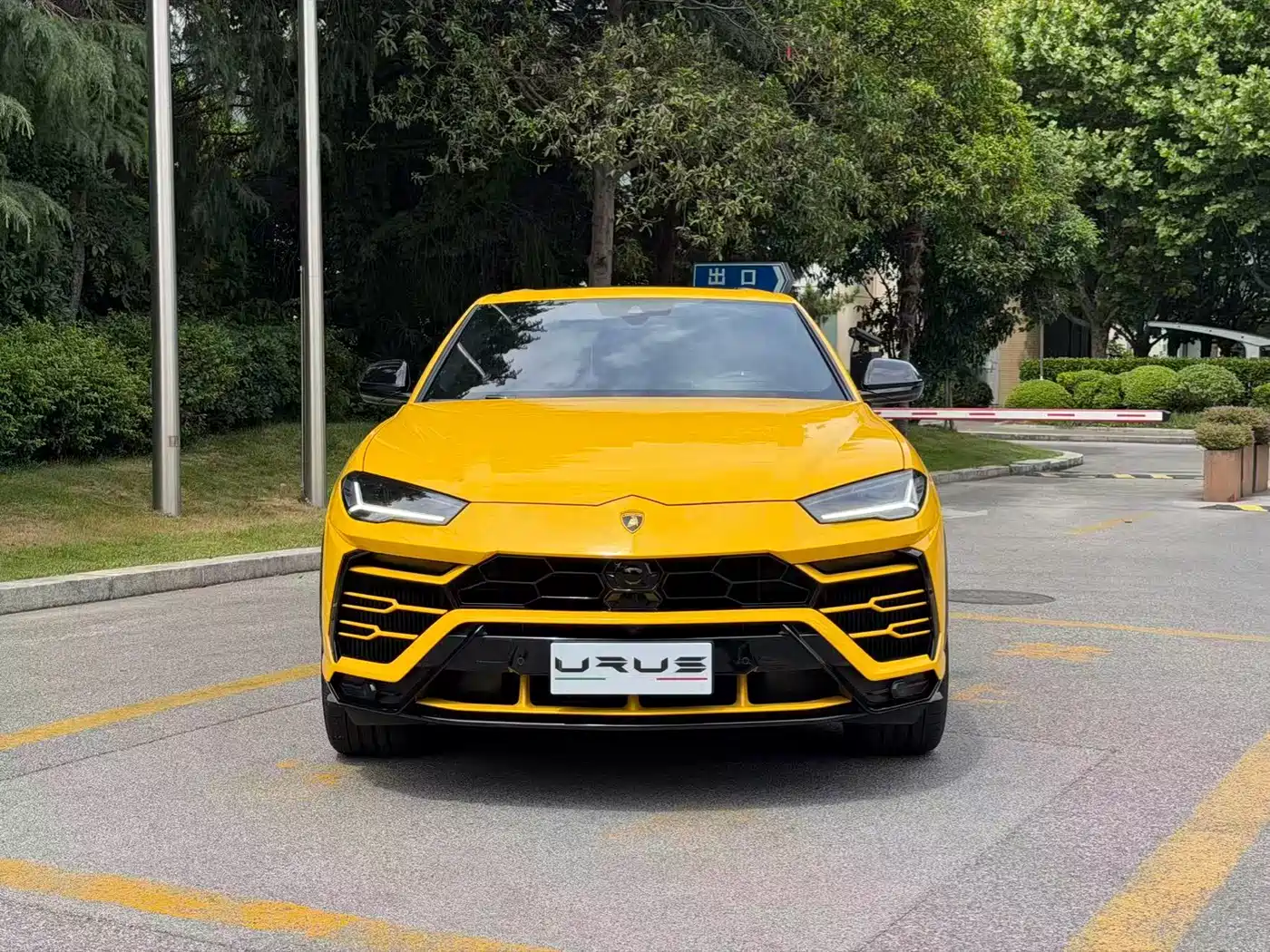 Lamborghini Urus 2021 4.0T V8 фото 2