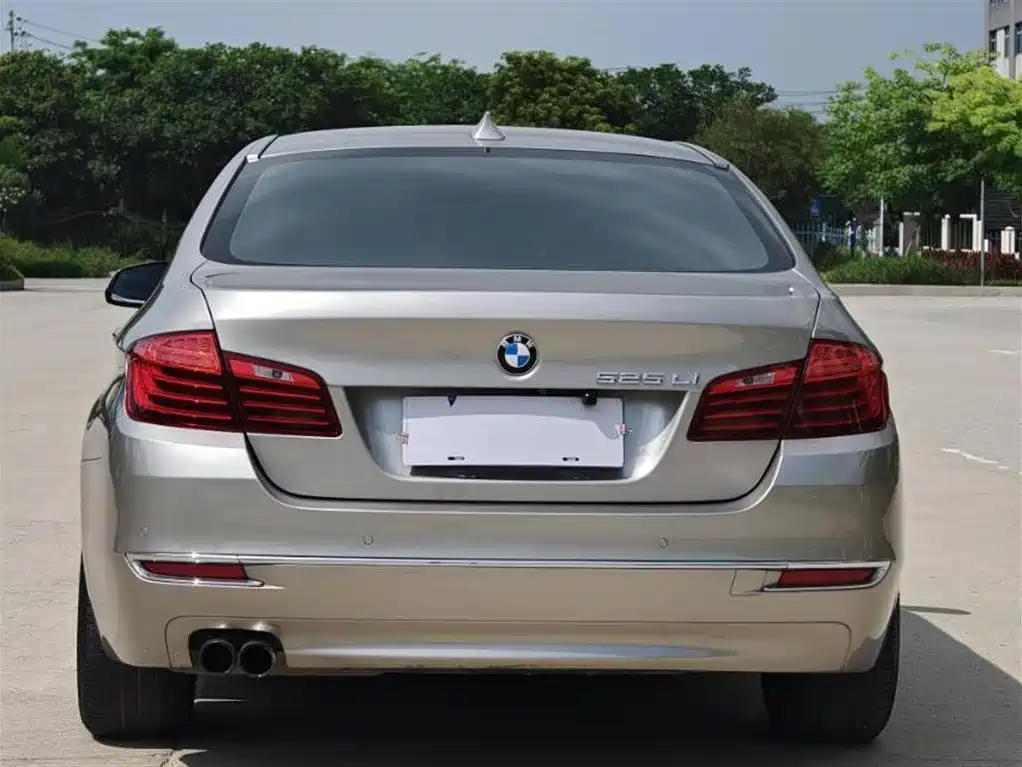 BMW 5 Series 2017 525Li Luxury Design Package фото 5
