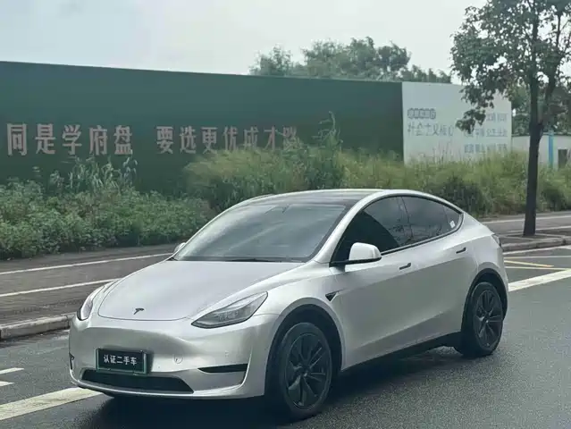 Tesla Model Y Задний привод