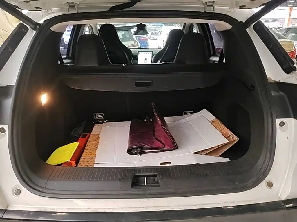 XPeng G3 2020 2019 Premium Edition