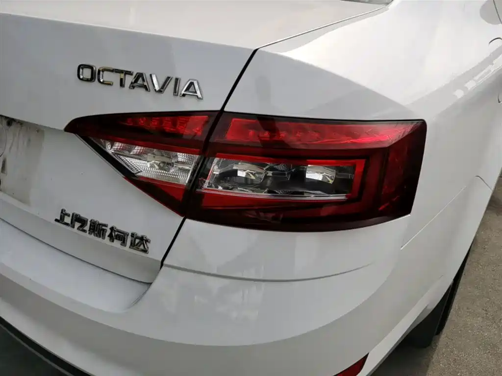 Škoda Octavia 2018 1.6L Automatic Luxury фото 8