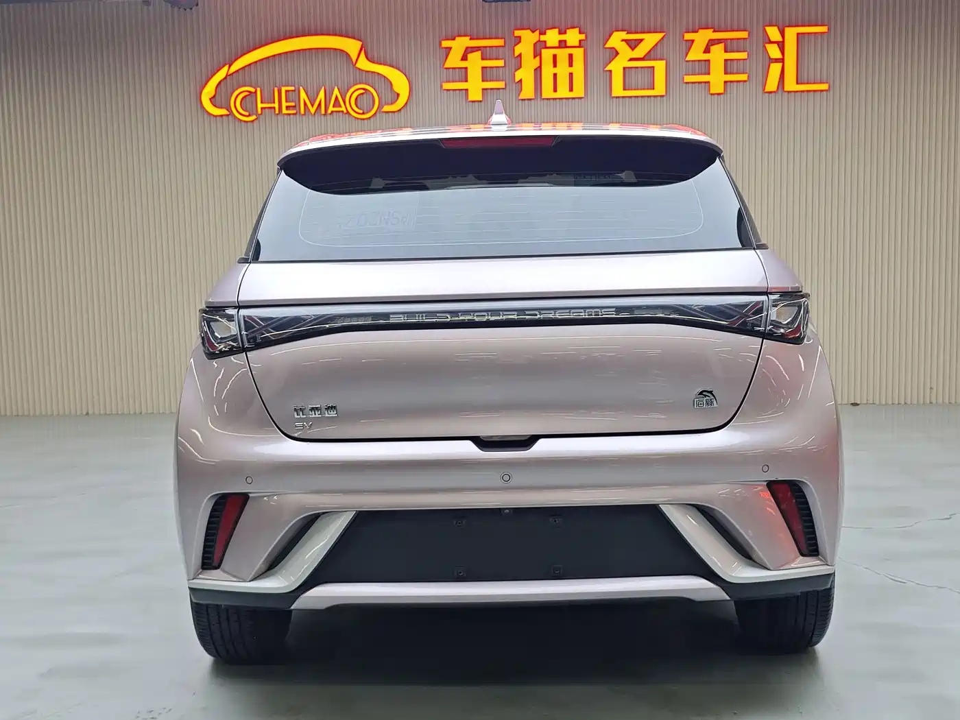 BYD Dolphin 2021 Model 405km Fashion Edition фото 18