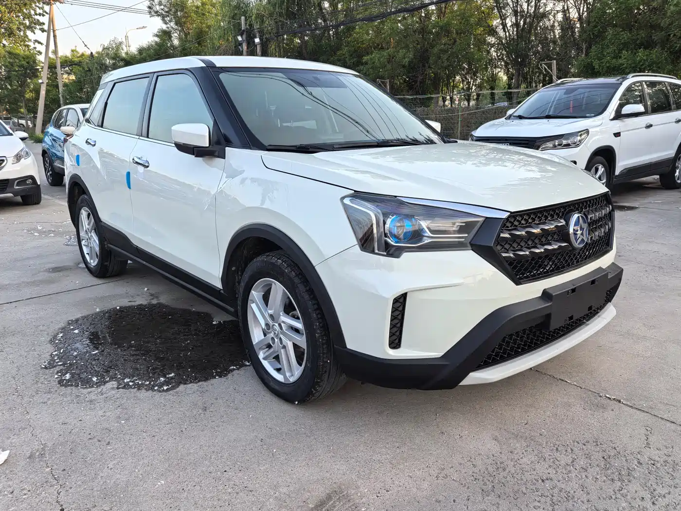 2021 Venucia T60