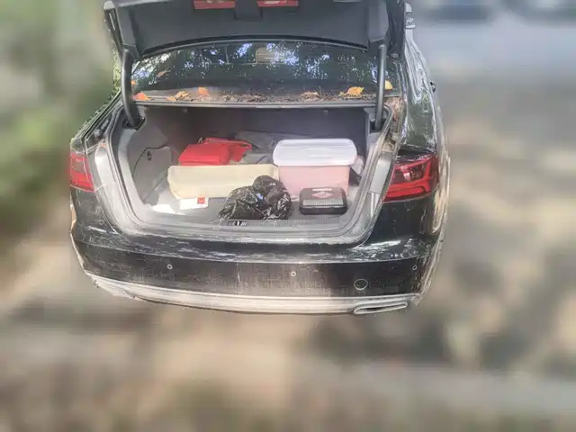 Audi A6L 2018 Model 35 TFSI Collector's Edition — фото 5