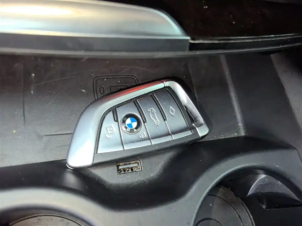 BMW 5 Series 2020 525Li Luxury Package фото 9