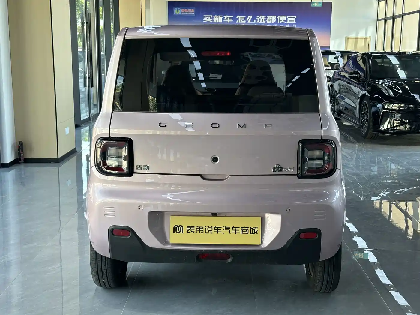 Geely Galaxy Panda 2025 2024 Panda mini 200km Endurance Bear