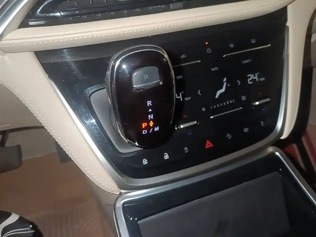 Buick GL8 2023 ES Landmaster Luxury фото 21