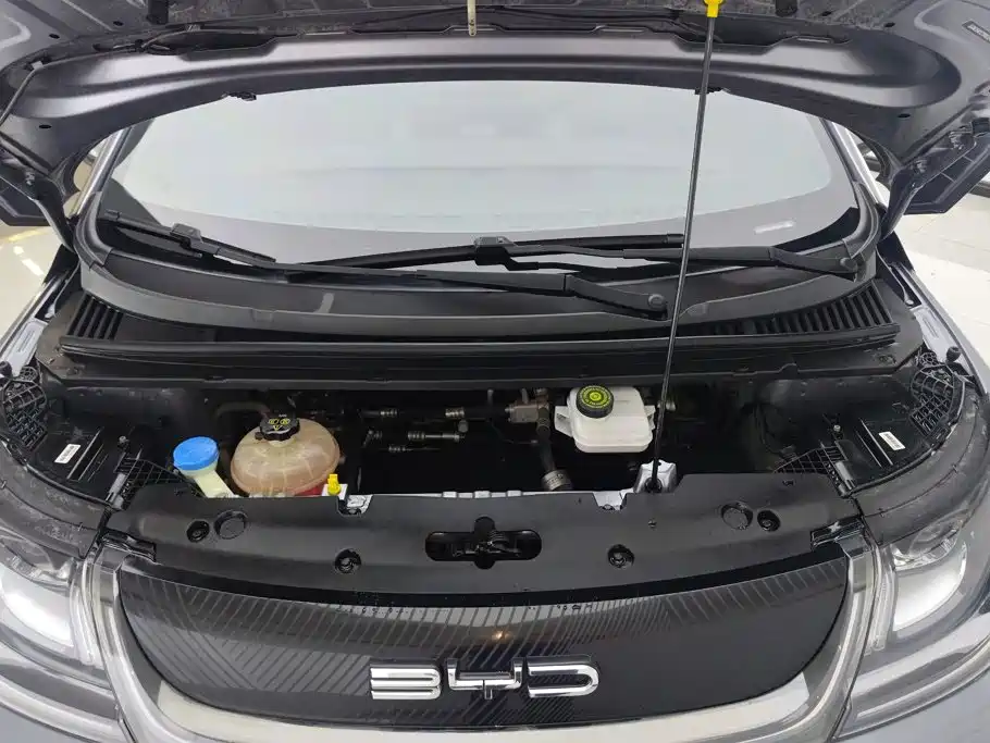 BYD Dolphin 2022 2021 Model 405km Fashion Edition
