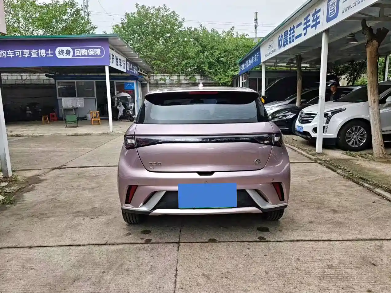 Фото 8 - BYD Dolphin