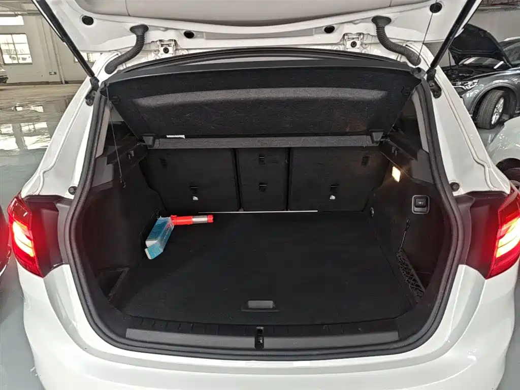 BMW 2 Series Touring 2016 218i Leading фото 19