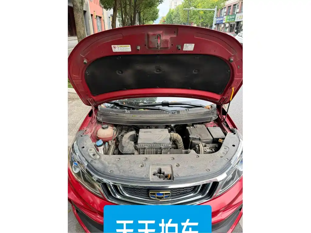 Фото 3 - Geely Vision X3
