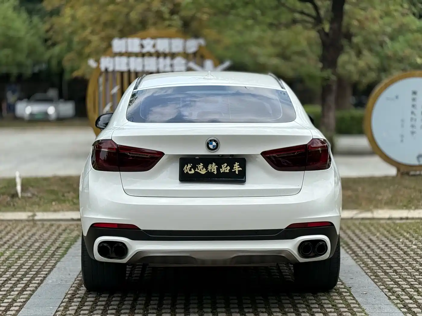 BMW X6 2017 xDrive35i Luxury фото 8