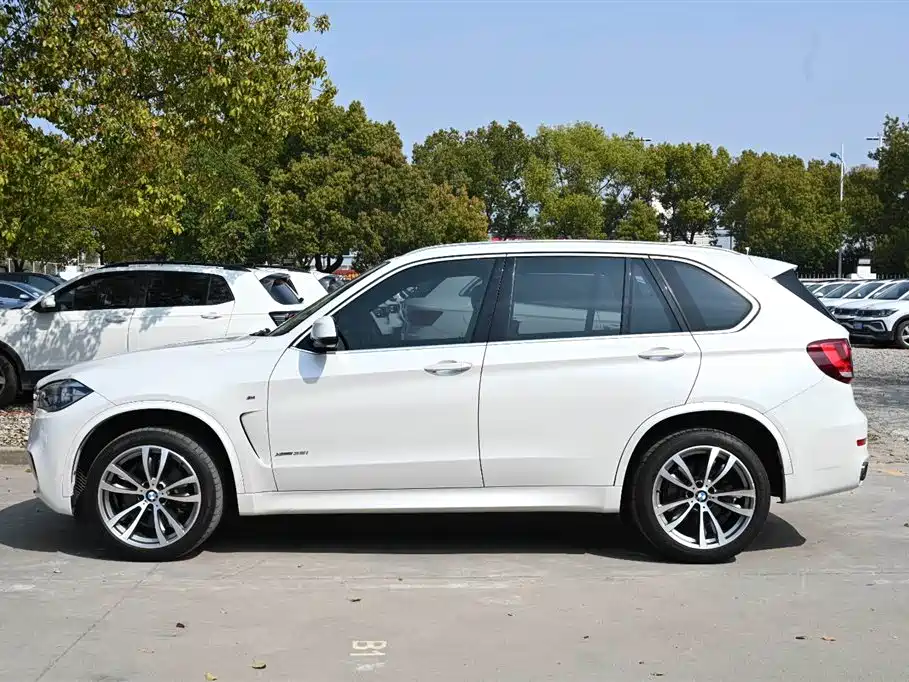 BMW X5 (Import) 2017 xDrive35i M Luxury Sport фото 3