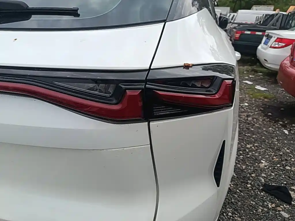 Changan Oshan Z6 2023 2023 Blue Whale 2.0T Auto Smart Drive
