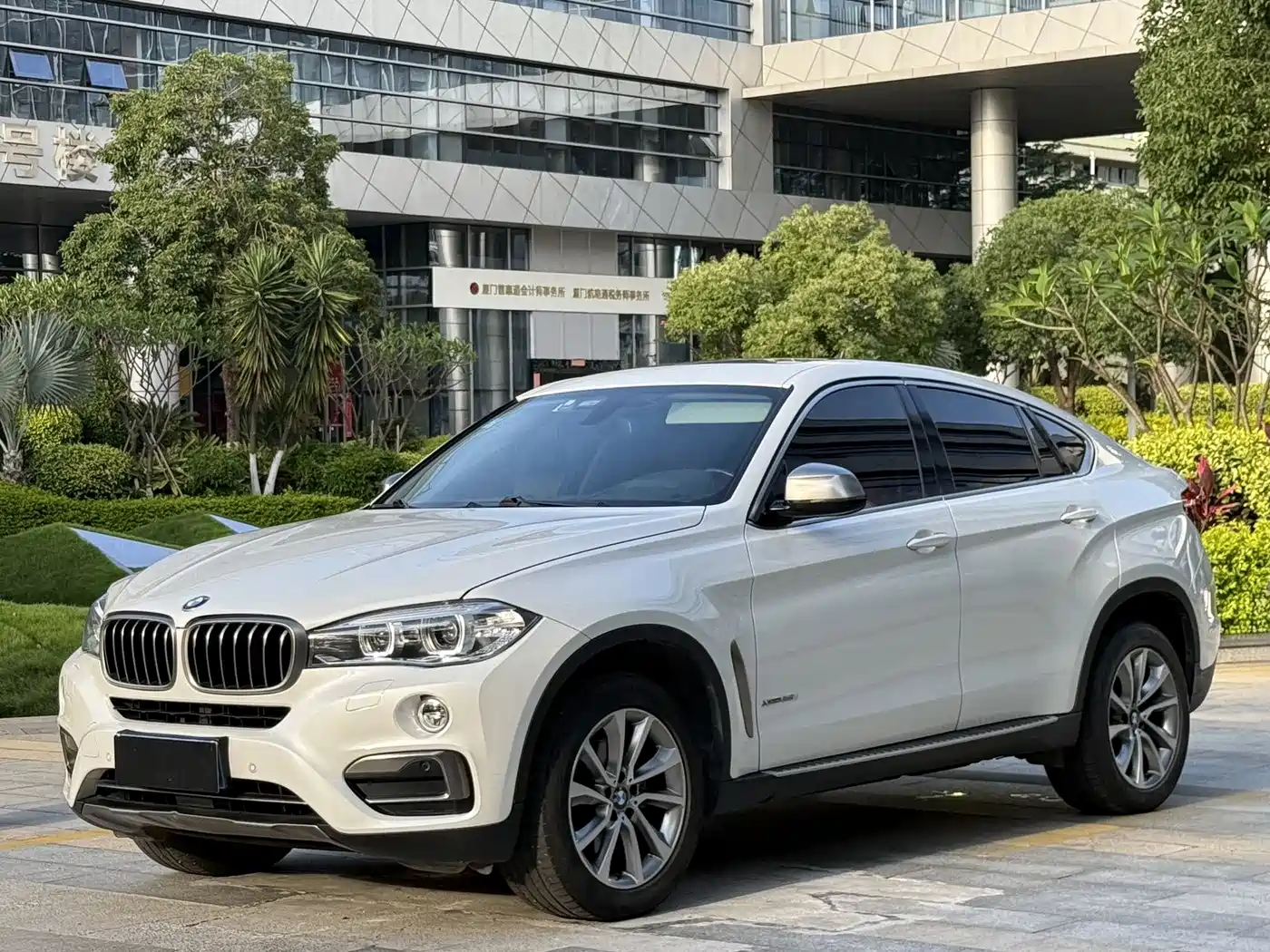 BMW X6 2015 xDrive35i Leading Type