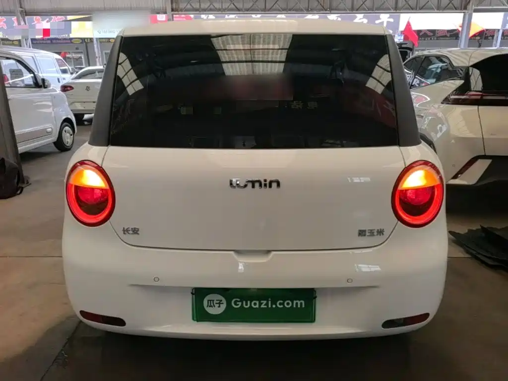 Photo 6 - Changan Lumin