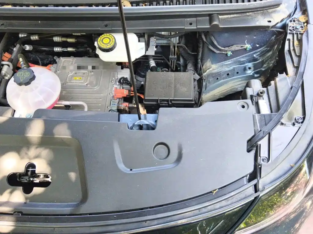 BYD Dolphin 2026 2025 Smart Drive Edition 420km Freedom Version