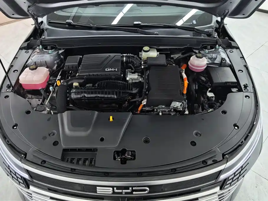 BYD Destroyer 05 2025 2024 Glory Edition DM-i 55KM Luxury