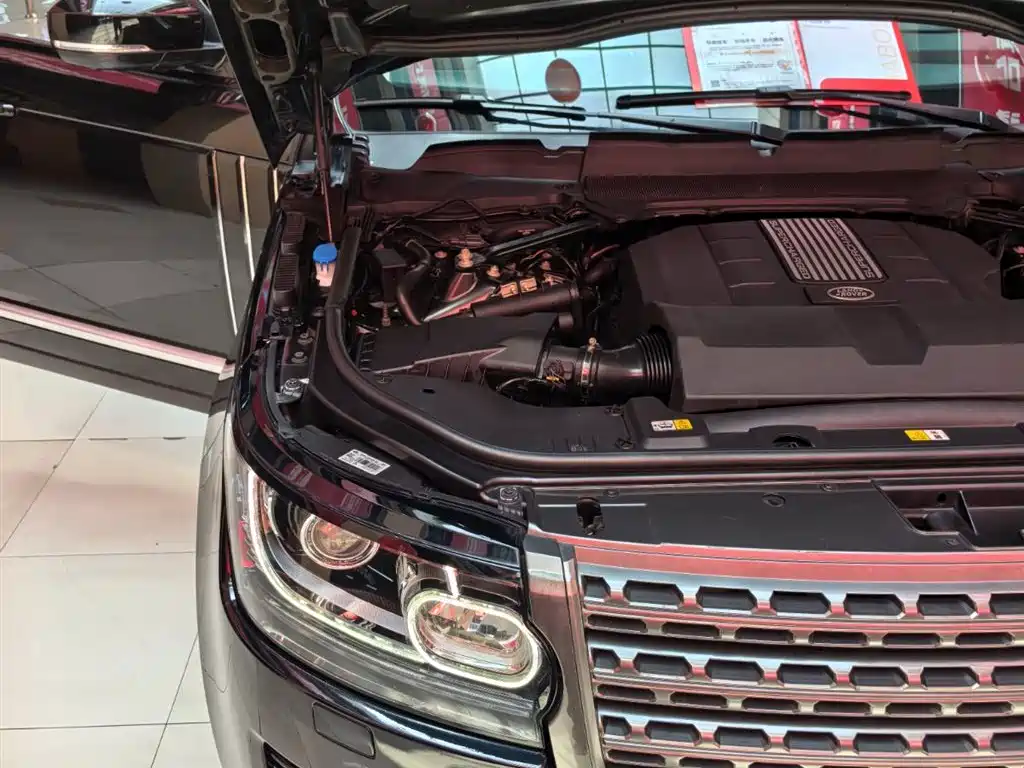 Land Rover Range Rover 2017 3.0 SC V6 Golden Age Edition фото 25