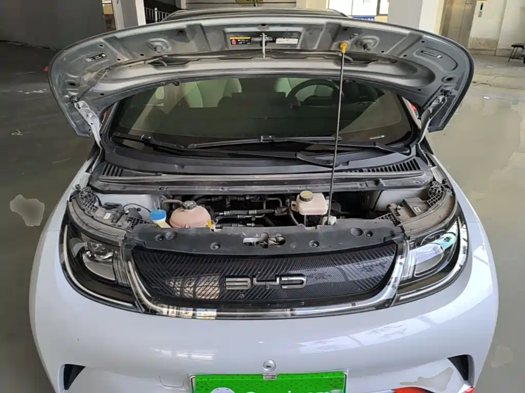 BYD Dolphin 2021 2021 Model 405km Fashion Edition