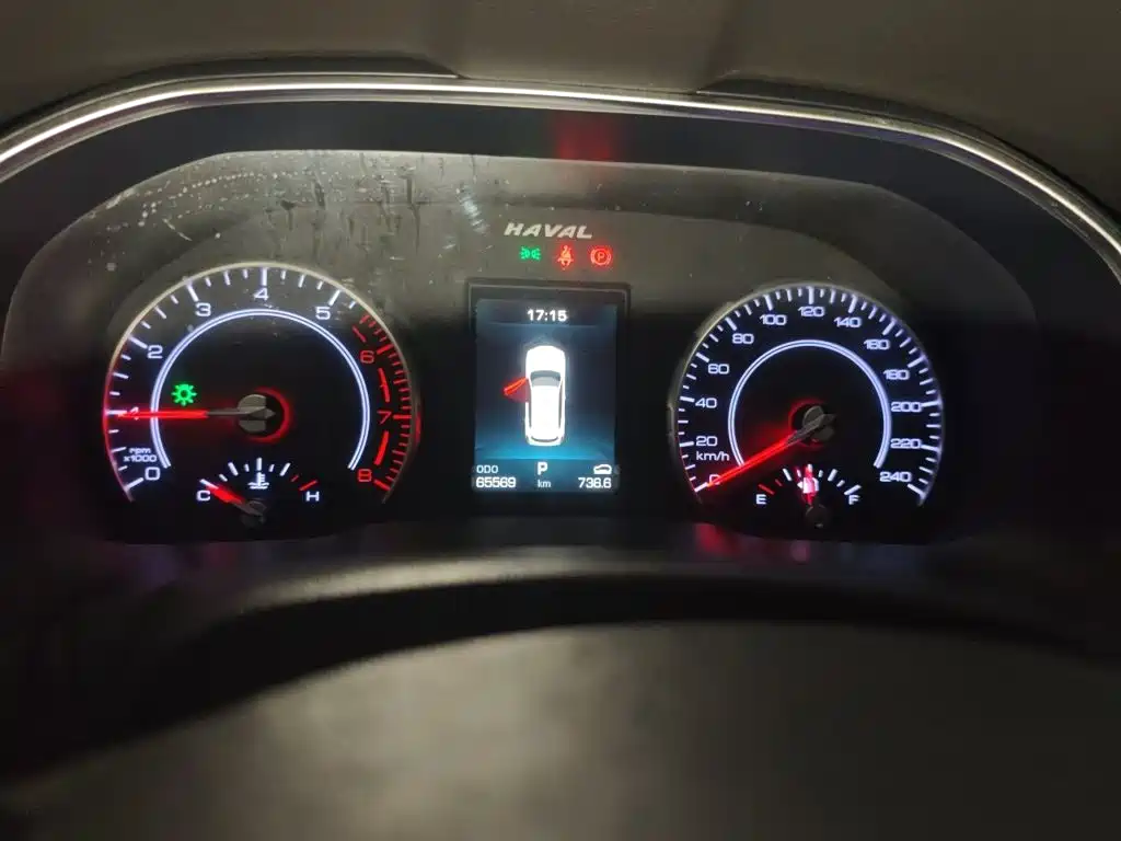صورة 7 - Haval H6