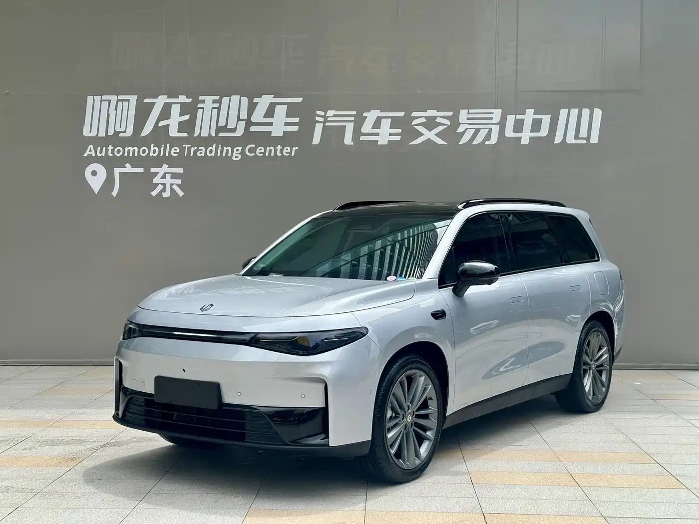 Leapmotor C16 2024 Pure Electric 520 Premium Edition