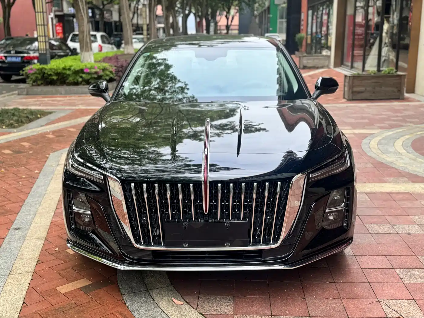 Hongqi H5 2025 1.5T DCT Flag Rhythm 500,000 Units Memorial Edition фото 2