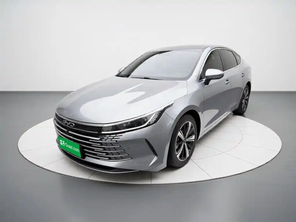 Фото 1 - BYD Destroyer 05