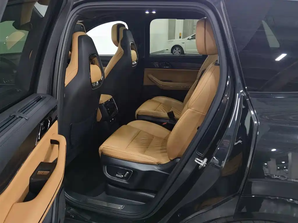 Lynk & Co 09 EM-P 2021 2.0T PHEV Ultra 6-seater фото 15