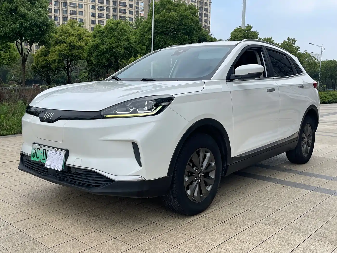 WEIMA AUTOMOBILE WEIMA EX5 2019