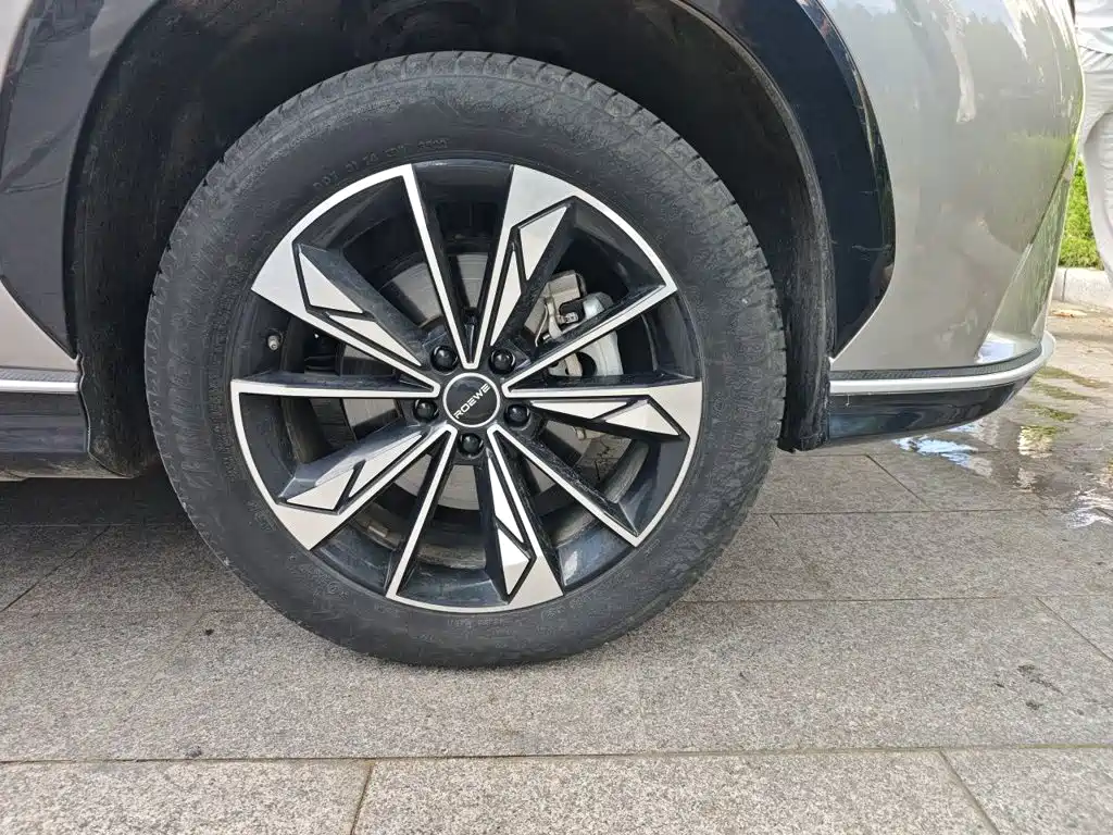Фото 8 - Roewe RX5 New Energy
