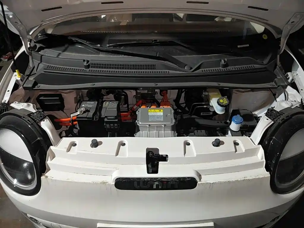Changan Lumin 2026 2026 Model 205km Treasure Edition