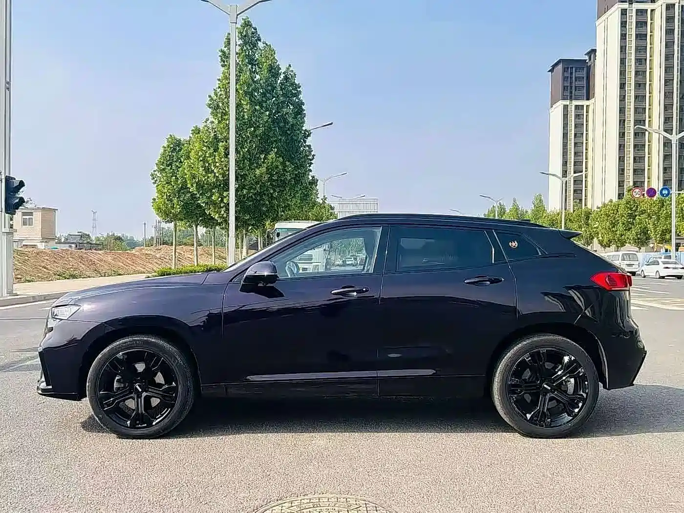 WEY VV7 2020 2020 Model 2.0T Flagship