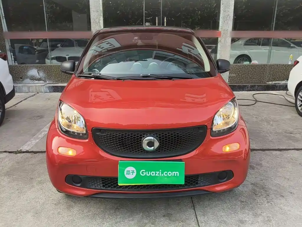 Фото 3 - smart forfour