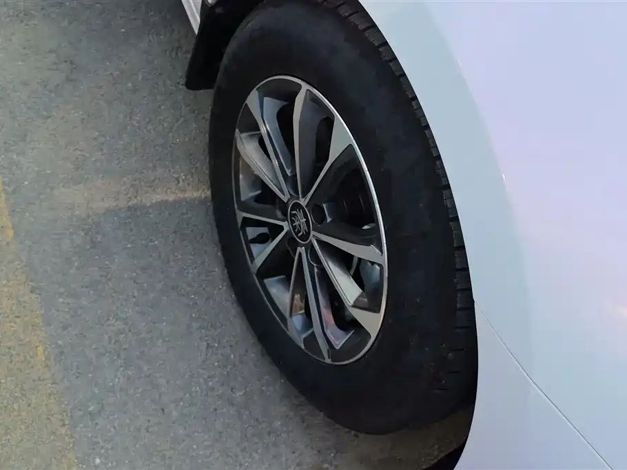 BYD Qin PLUS 2024 Glory Edition DM-i 55KM Leading фото 6