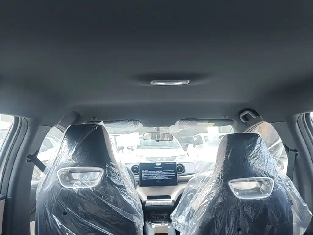 BYD Dolphin 2026 2025 420km Freedom Edition