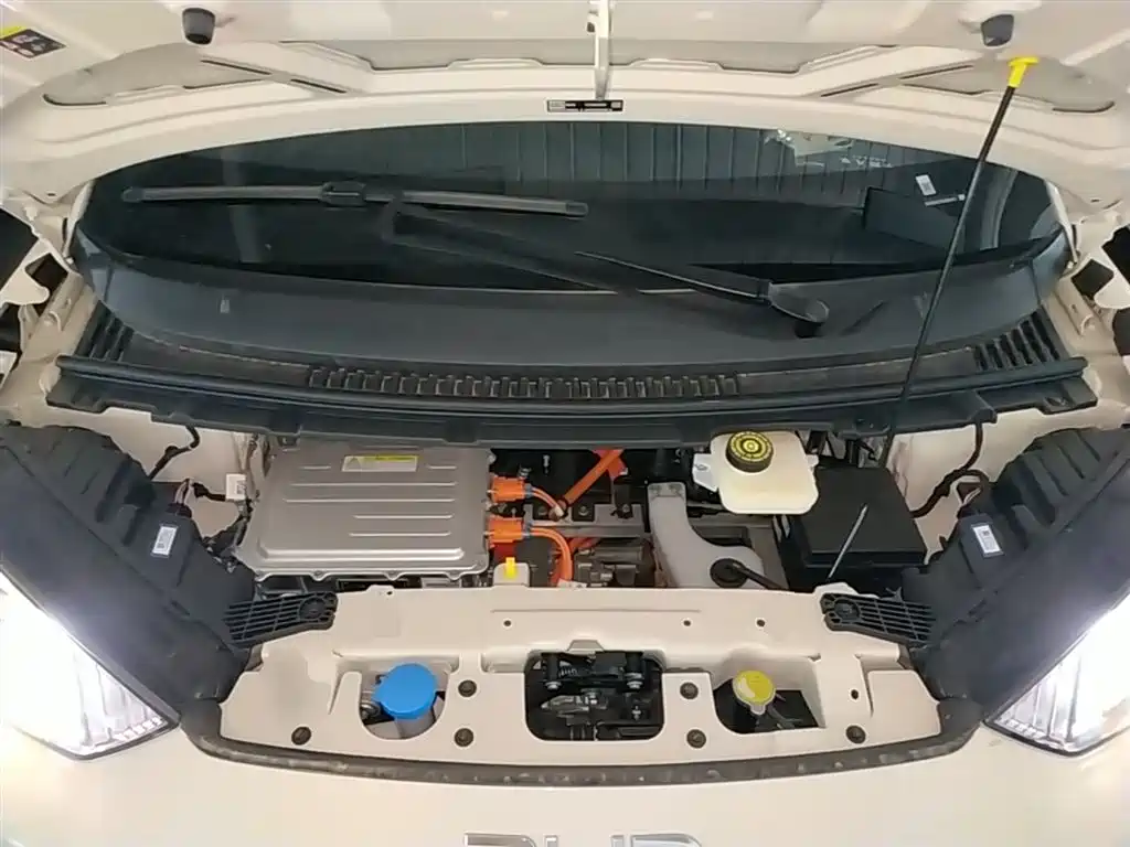 BYD Seagull 2026 2025 Smart Drive Edition 305km Vitality Version