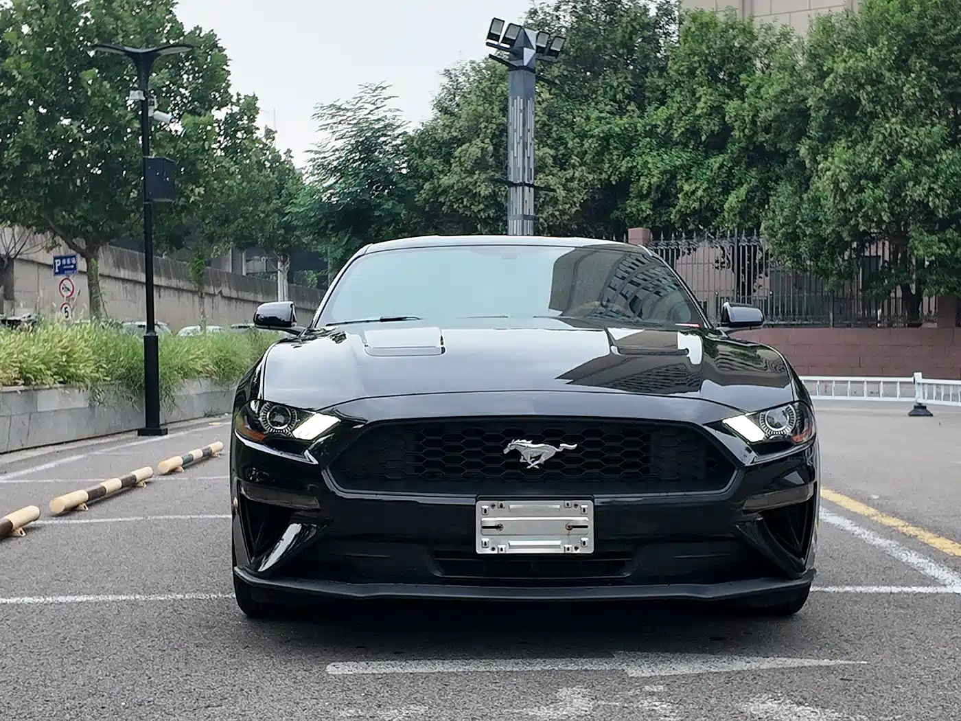 FORD MUSTANG