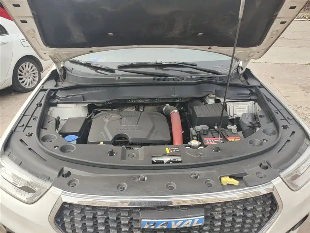 Haval H2 2017 Blue Label 1.5T Automatic 2WD Luxury фото 20