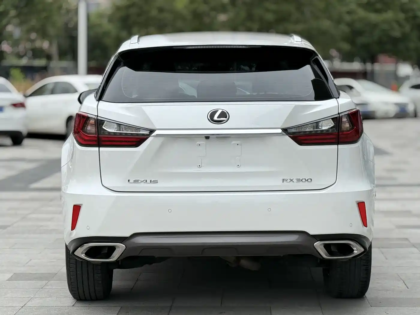 Lexus RX 2016 300 2WD Elite Edition (China V) фото 4