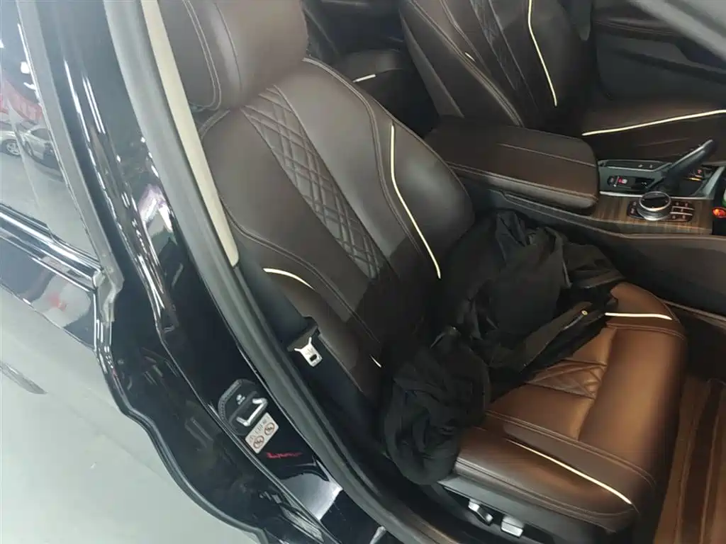 BMW 5 Series New Energy 2020 530Le Range Upgrade Luxury Package фото 25